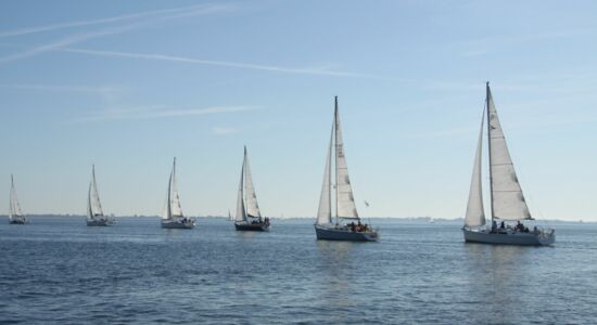 Gemeinsam in Flottille segeln auf der Ostsee im Sommer